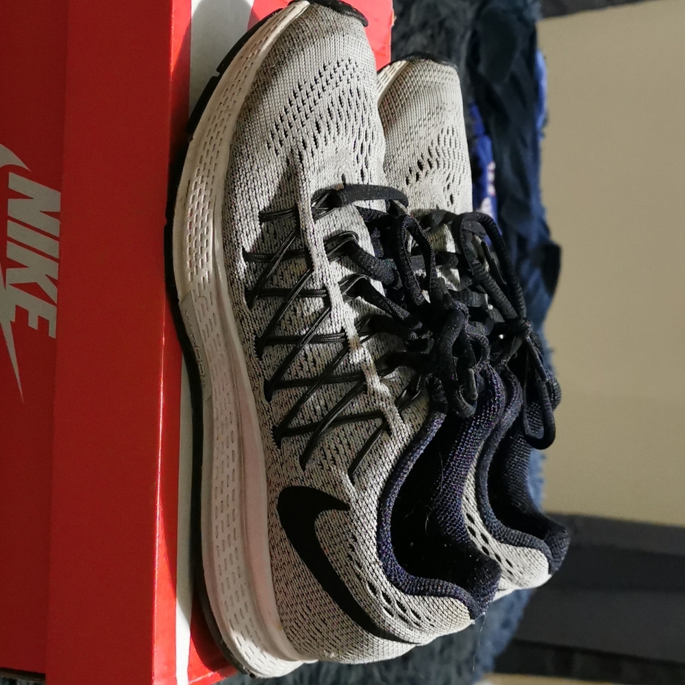 nike zoom pegasus